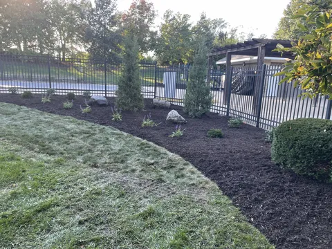 Pool area after landscaping